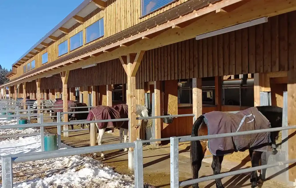 Ein braunes Stallgebäude mit mehreren nebeneinanderliegenden Öffnungen auf der rechten Seite des Bildes. Vor den Öffnungen stehen Pferde, die in ihre jeweiligen Boxen hineinschauen. Zwischen den Öffnungen befinden sich Metalltrennelemente, die die einzelnen Bereiche voneinander abgrenzen. Der Boden vor dem Stall ist mit Schnee bedeckt und verleiht der Szene eine winterliche Atmosphäre.