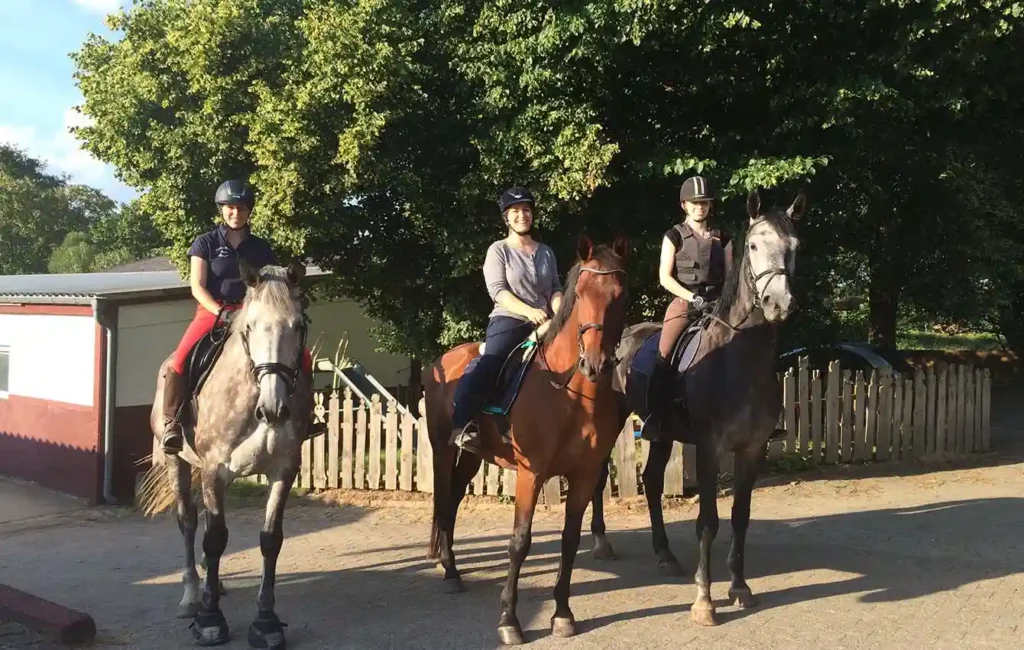 Drei Reiterinnen sitzen auf ihren Pferden und schauen lächelnd in die Kamera. Die Pferde stehen ruhig nebeneinander. Im Hintergrund sind Bäume, ein Haus sowie ein zum Haus gehörender Zaun zu sehen. Die Szene wirkt freundlich und harmonisch und vermittelt einen Moment entspannter Freizeit im Reitumfeld.