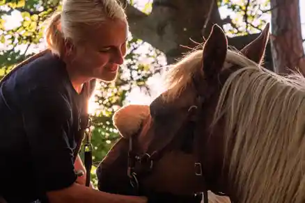 Das Bild zeigt eine Frau, die links im Bild steht und lächelnd ein Pferd anschaut. Sie hält das Pferd am Halfter. Vom Pferd ist nur der Kopf zu sehen, der sich rechts im Bild befindet. Der Hintergrund besteht aus grünen Blättern und Ästen eines Baumes, die leicht verschwommen dargestellt sind.